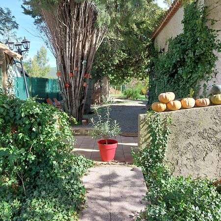 La Maison De Marie-Jeanne - Le Rocher D'Ongles Exterior foto