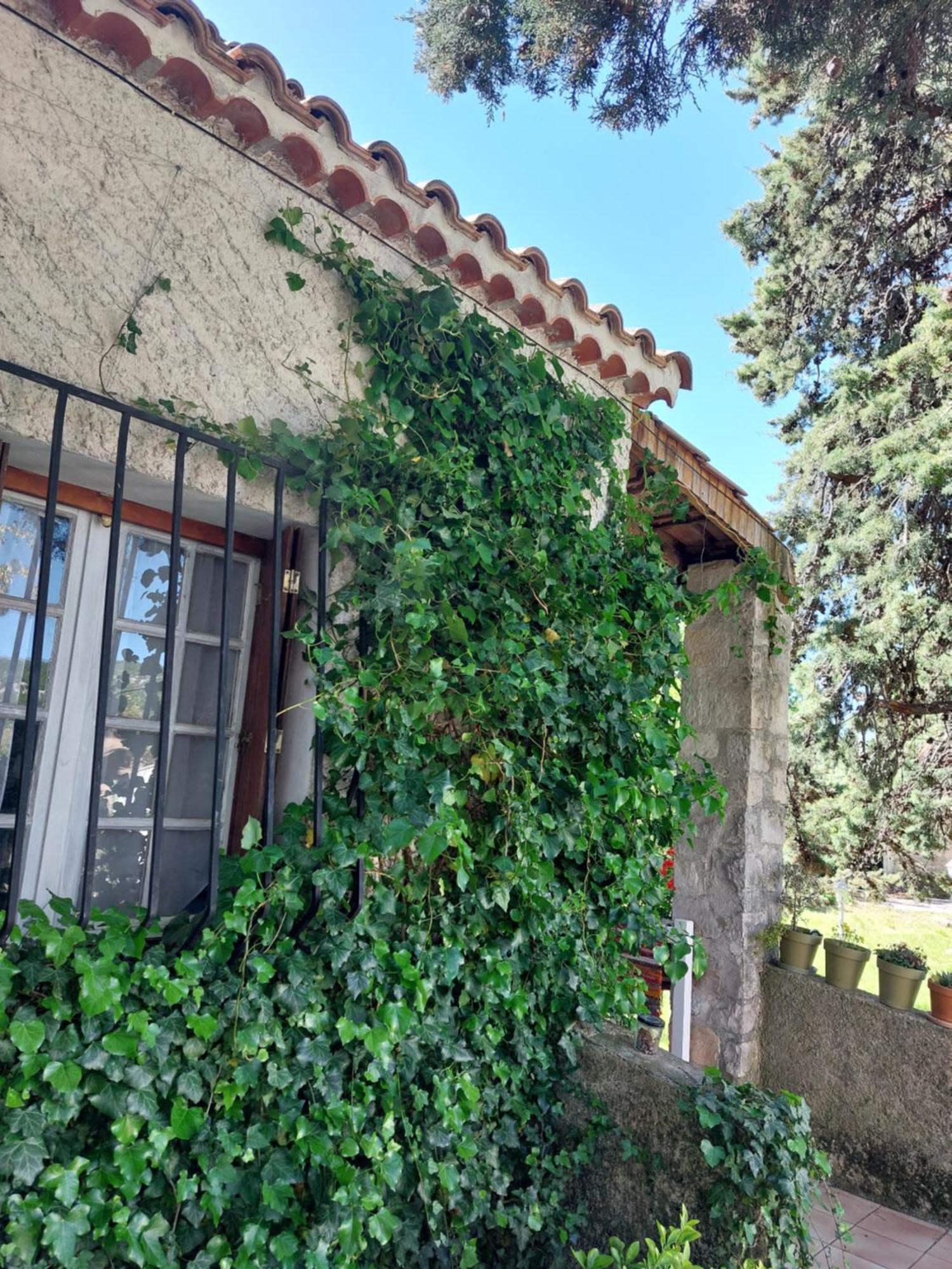 La Maison De Marie-Jeanne - Le Rocher D'Ongles Exterior foto